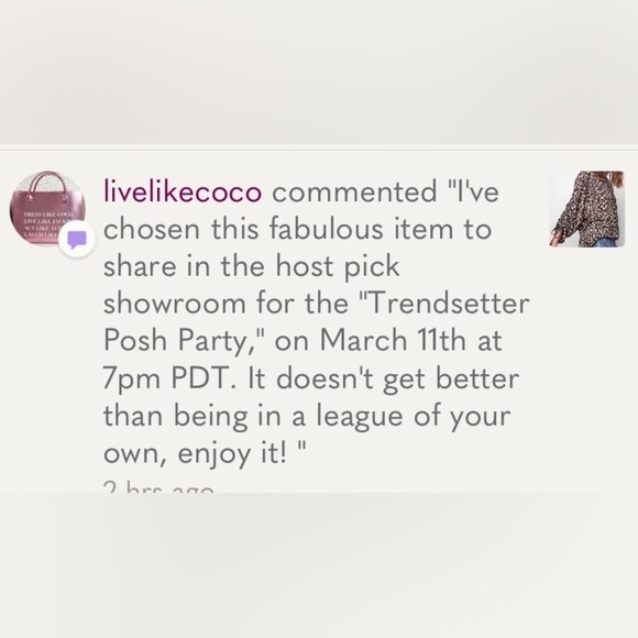 Leopard animal print top hacci knit oversized cozy sweater top long sleeve - Picture 12 of 12